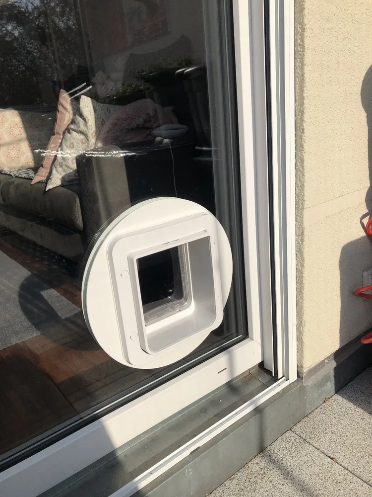 Glastür mit eingebauter Katzenklappe